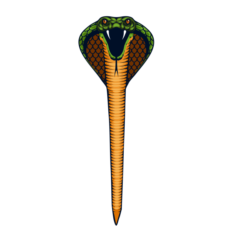 Günter 1154 cerf-volant cobra, 69 x 400 cm, pour vent entre 15 et 40 kmh