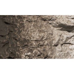 Woodland Scenics C1221 teinture brun clair 120mL