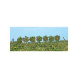 Heki 19135 HO arbres fruitiers en espalier, 36 pièces env. 2,5 cm