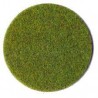 Heki 3350 fibre d herbe vert clair