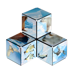 Shashibo 26AR cube