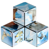 Shashibo 26AR cube