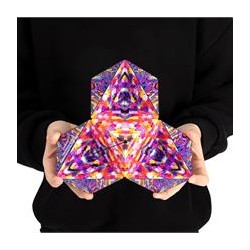 Shashibo 09CF cube