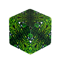 Shashibo 25FR cube