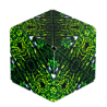 Shashibo 25FR cube