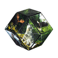Shashibo 25FR cube