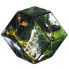 Shashibo 25FR cube