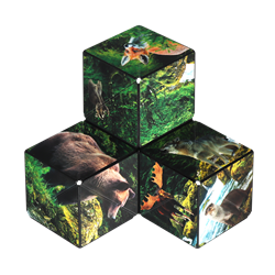 Shashibo 25FR cube