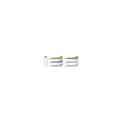 Italeri 2505 1 - 32 Mirage III C/S